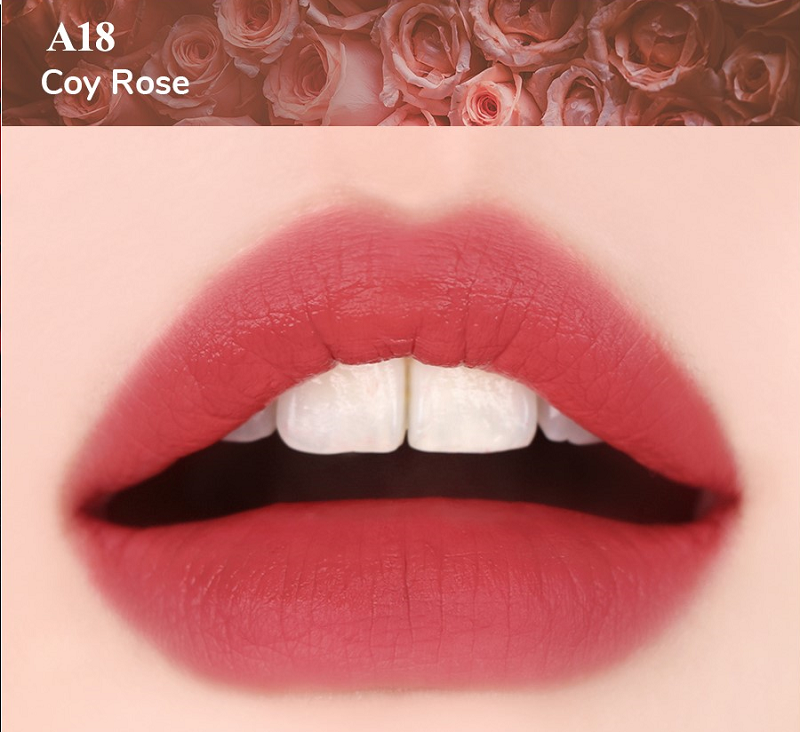 5-sac-hoa-hong-day-bi-an-trong-bang-mau-saon-blackrouge-ver4-a18-myphambaobao